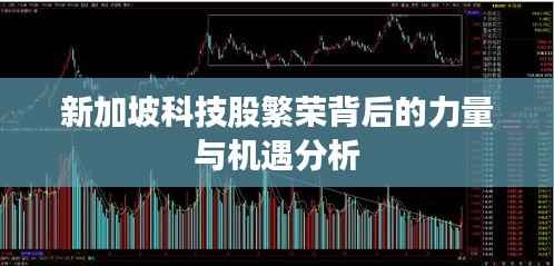 新加坡科技股繁荣背后的力量与机遇分析