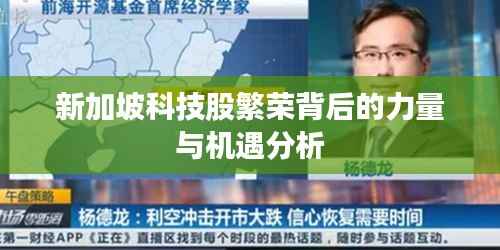 新加坡科技股繁荣背后的力量与机遇分析