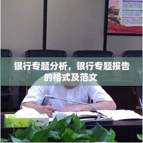 银行专题分析,银行专题报告的格式及范文