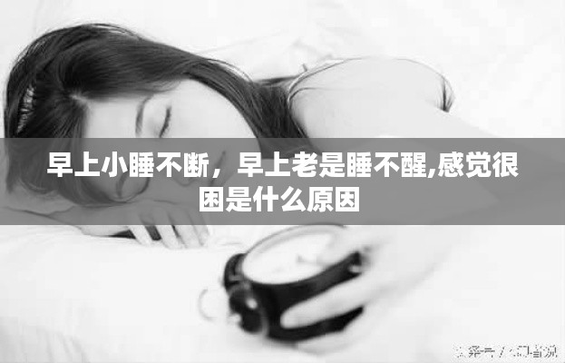 早上小睡不断,早上老是睡不醒,感觉很困是什么原因