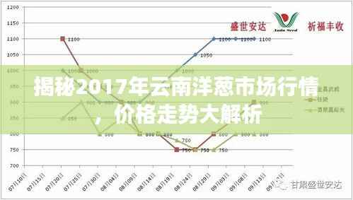 揭秘2017年云南洋葱市场行情,价格走势大解析