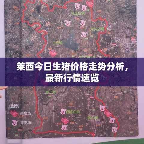 莱西今日生猪价格走势分析,最新行情速览