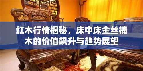 红木行情揭秘,床中床金丝楠木的价值飙升与趋势展望