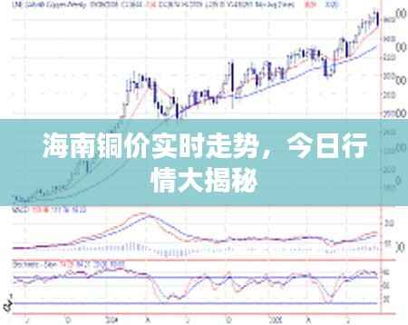 海南铜价实时走势,今日行情大揭秘
