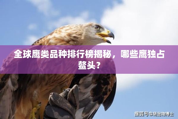 鸟为食亡 第2页