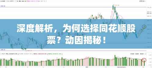 深度解析,为何选择同花顺股票?动因揭秘!