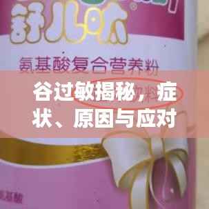 谷过敏揭秘,症状、原因与应对之策,百度权威解读