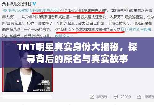 TNT明星真实身份大揭秘,探寻背后的原名与真实故事