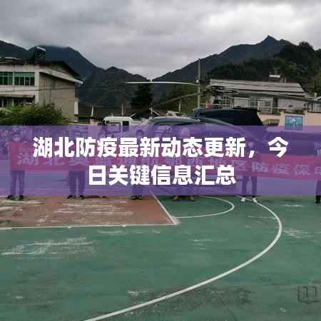 湖北防疫最新动态更新,今日关键信息汇总
