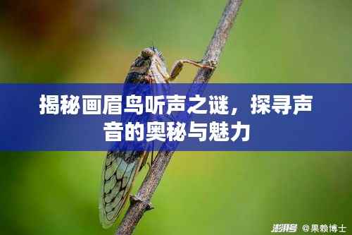 张骞乘槎 第2页