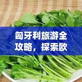 匈牙利旅游全攻略,探索欧洲魅力之国