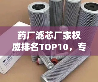 药厂滤芯厂家权威排名TOP10,专业品质值得信赖!