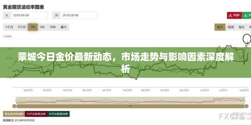 蒙城今日金价最新动态,市场走势与影响因素深度解析