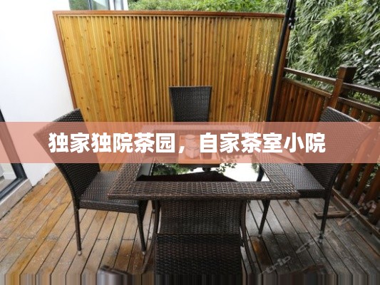 独家独院茶园,自家茶室小院