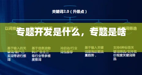 专题开发是什么,专题是啥