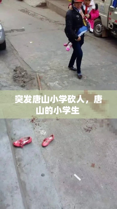 范张鸡黍 第2页