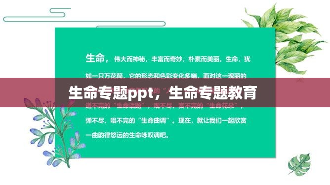 生命专题ppt,生命专题教育