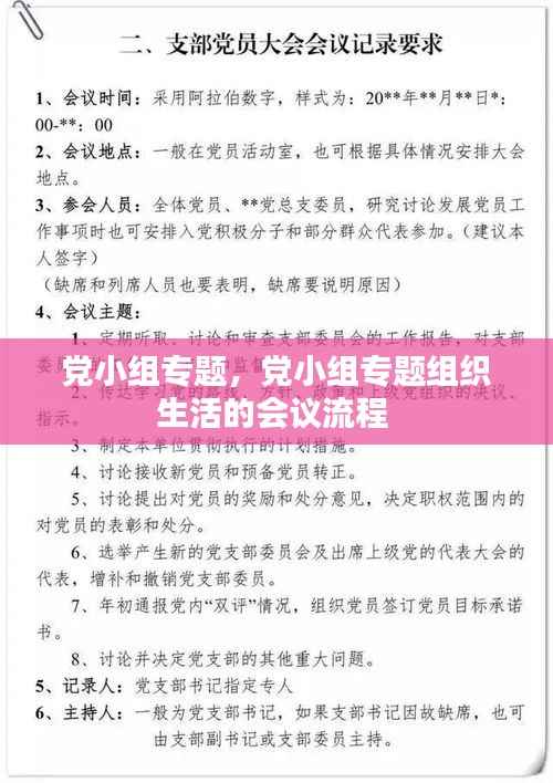 党小组专题，党小组专题组织生活的会议流程 