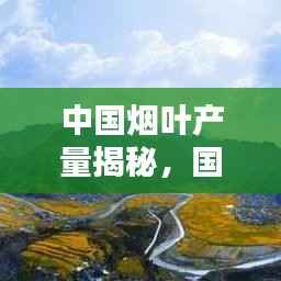 中国烟叶产量揭秘，国内排名前十的烟叶产区概览
