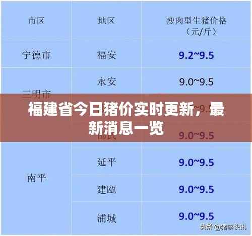 福建省今日猪价实时更新,最新消息一览