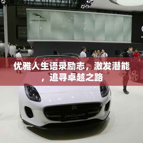 优雅人生语录励志,激发潜能,追寻卓越之路