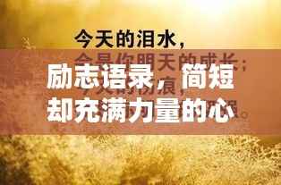 励志语录，简短却充满力量的心灵觉醒模板